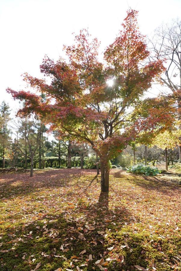 Japaning Senkyu Villa Kyoto Dış mekan fotoğraf