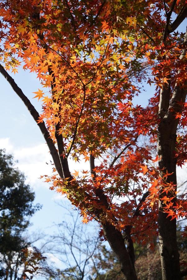 Japaning Senkyu Villa Kyoto Dış mekan fotoğraf